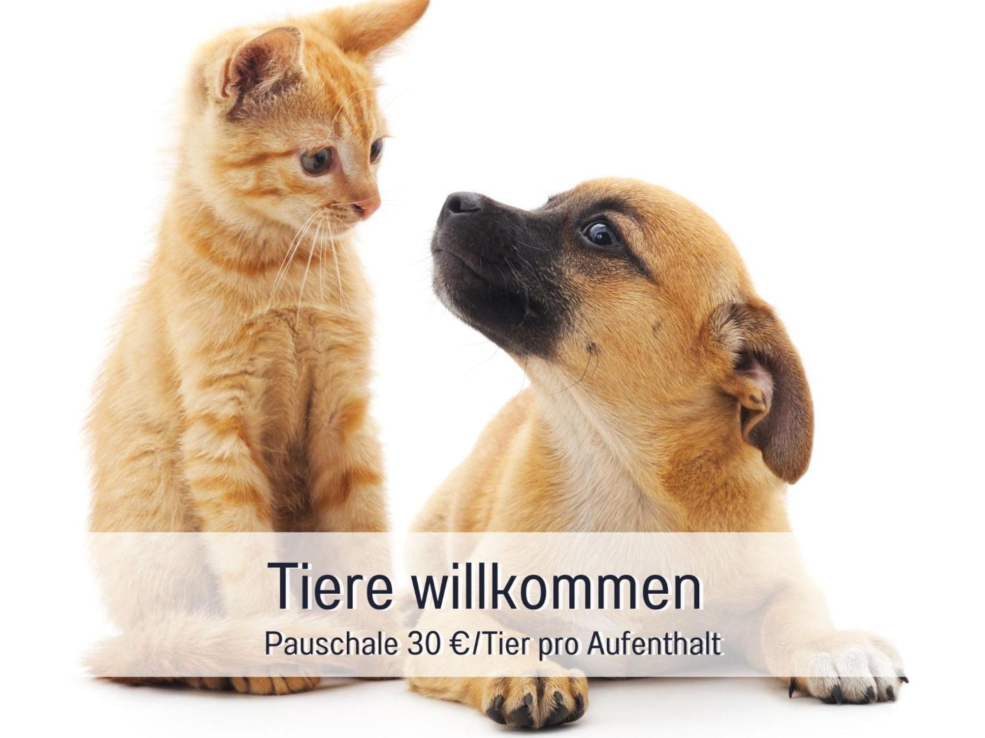 Rosmarin - Kuschelige Fewo - Romantik & Entspannung Im Whirlpool Auf Privater Terrasse, Ruhe & Hund Willkommen - By Ferienwohnenamsee - Uberlingen Eksteriør bilde